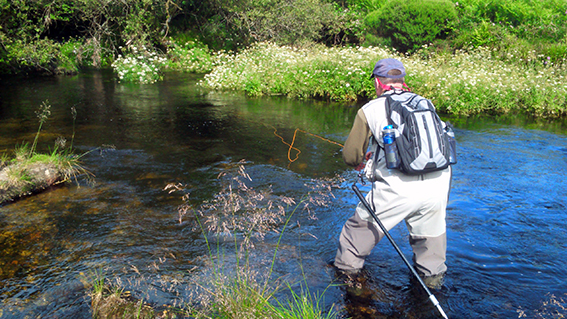 Learn how to Fly Fish on the river for FREE! - Upper Teign Fishing